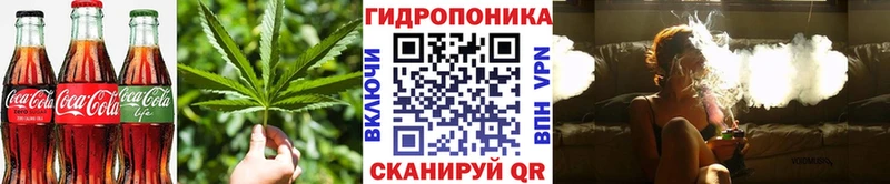 где найти Миньяр маркетплейс как зайти Canna-Cookies конопля