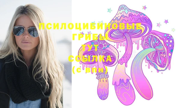 дмт Балахна