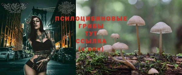 герыч Баксан