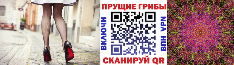 блэк спрут как войти  Миньяр  Галлюциногенные грибы Psilocybine cubensis 